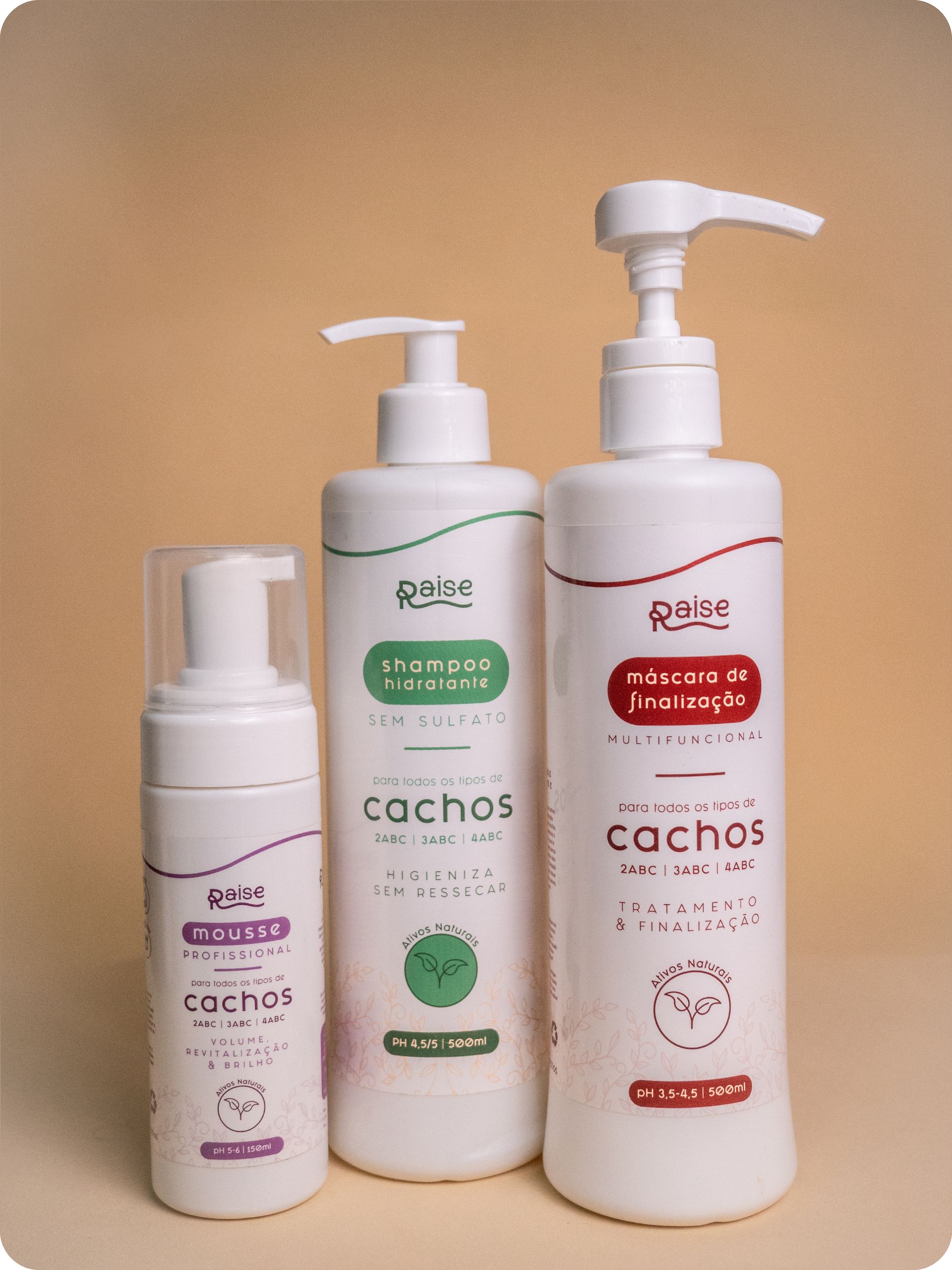 Kit Raise (Shampoo Hidratante, Mousse Profissional e Máscara de Finalização)