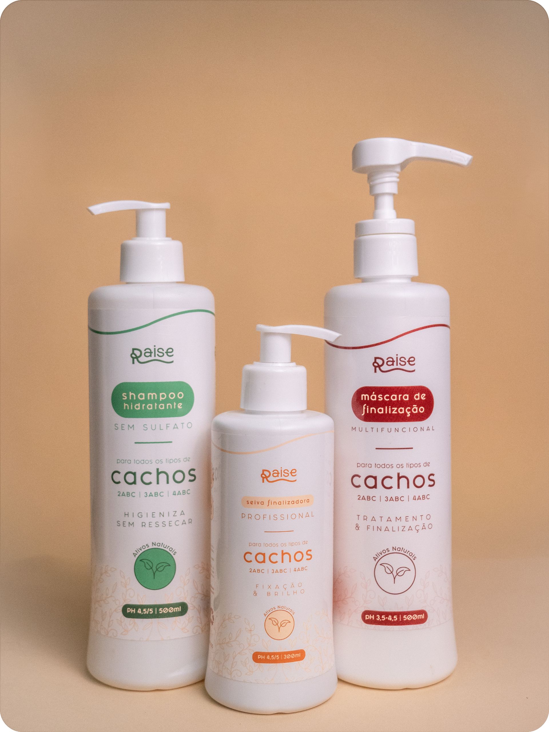 Kit Raise (Shampoo Hidratante, Seiva Finalizadora e Máscara de Finalização)