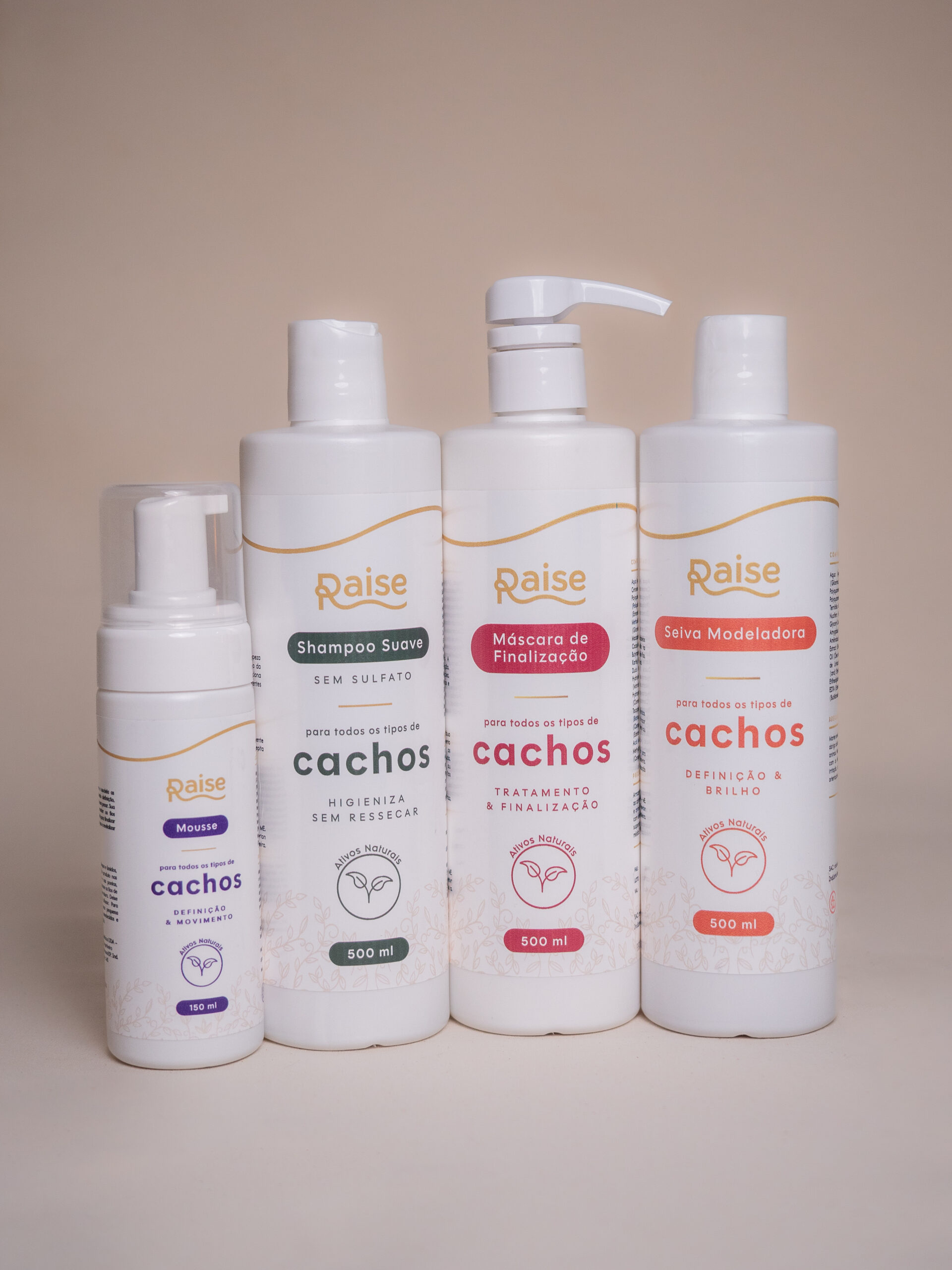 Kit Raise (Máscara de Finalização + Shampoo Suave+ Seiva Modeladora + Mousse Ativador)